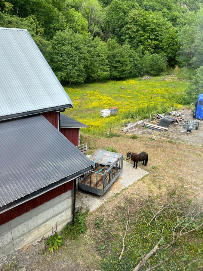 RasvagBjorkely Gardアパートメント エクステリア 写真